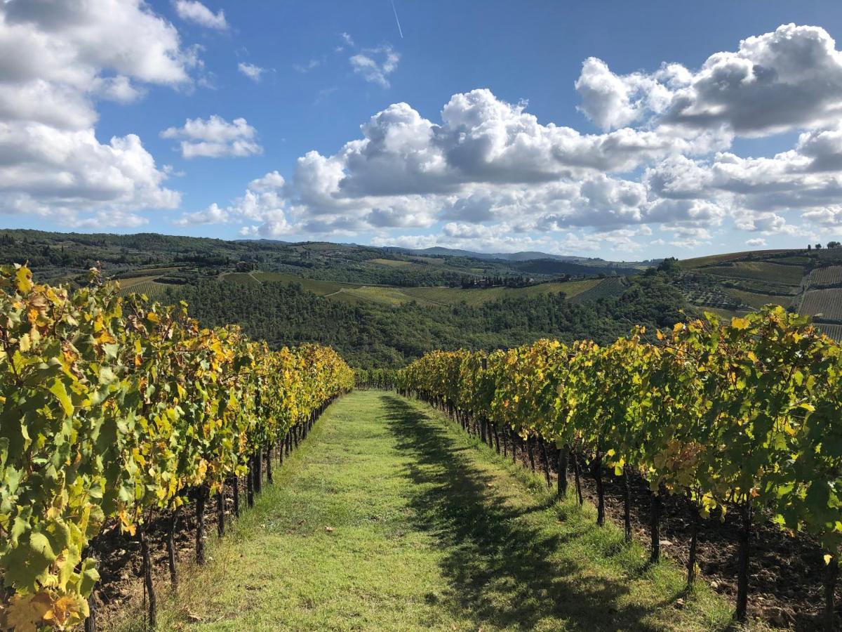 Fattoria Di Rignana Greve in Chianti