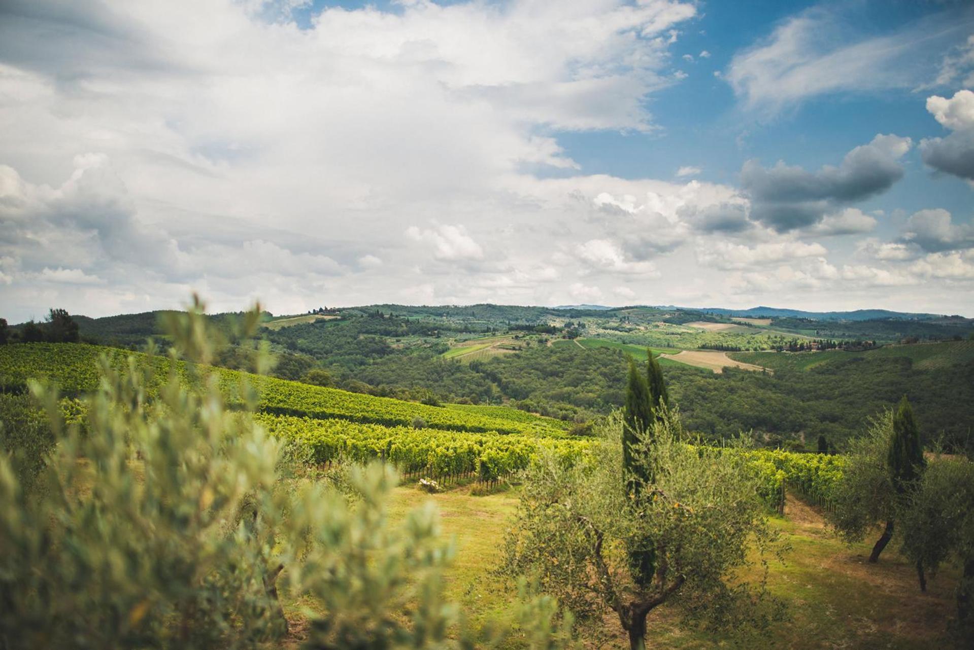 Fattoria Di Rignana Alloggio per agriturismo *