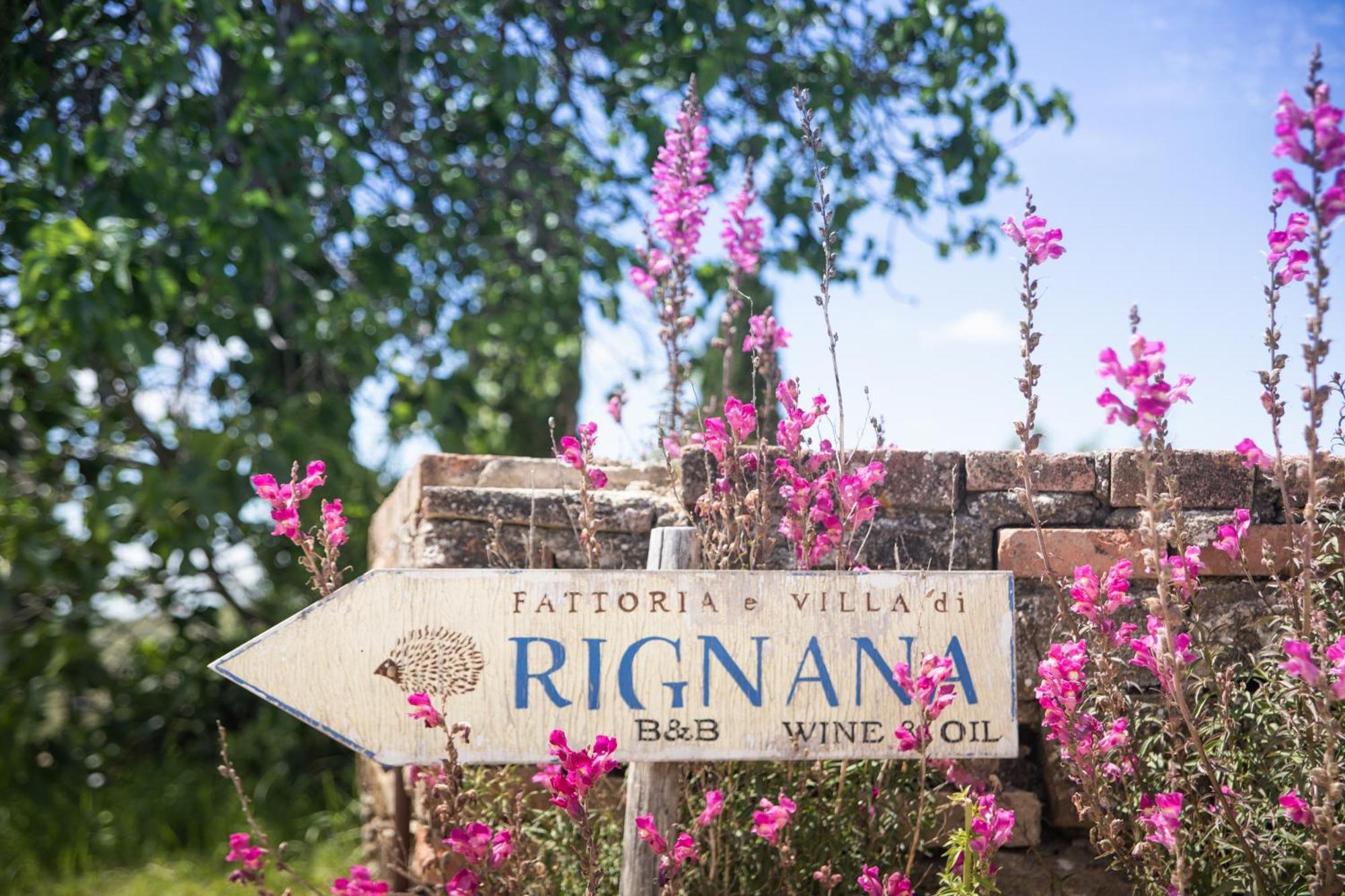 Alojamento de Turismo Rural Fattoria Di Rignana Winery Bnb Greve in Chianti